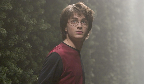 Jak potoczy się twoja historia z Harrym jako siostra Draco?#19.2