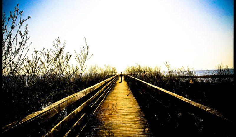 Kończę z kontem na SameQuizy