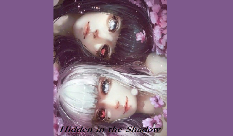 Hidden in the Shadow – kontynuacja #3