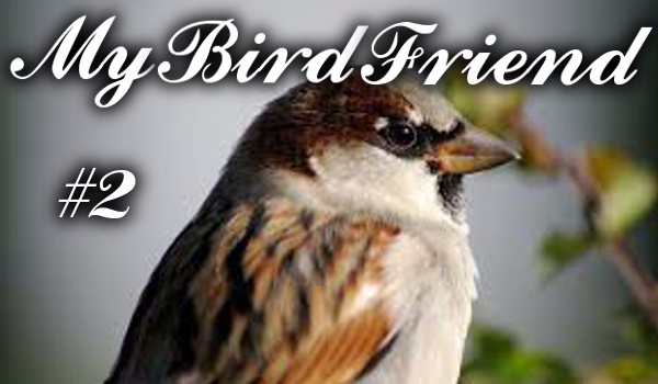 My Bird Friend #2