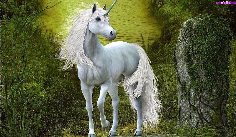 Zaczarowana Polana #2