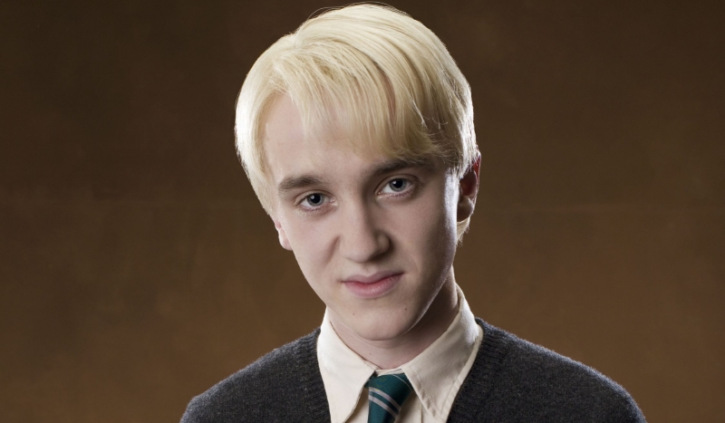 Twoja historia z Draco jako siostra Hermiony 1#