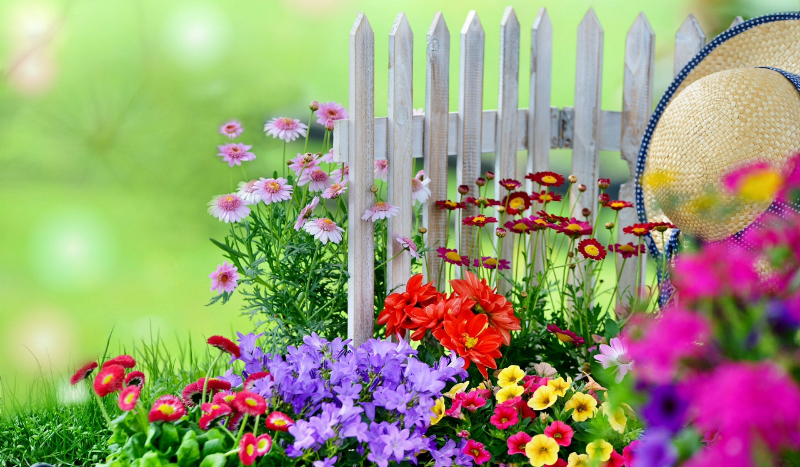 Stwórz swój wymarzony ogród!