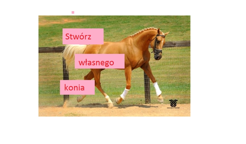 Stwórz własnego konia?