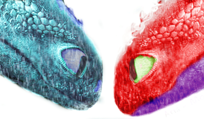 Rasy collecta, jaka rasa?