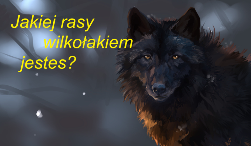Jakiej rasy wilkołakiem jesteś?