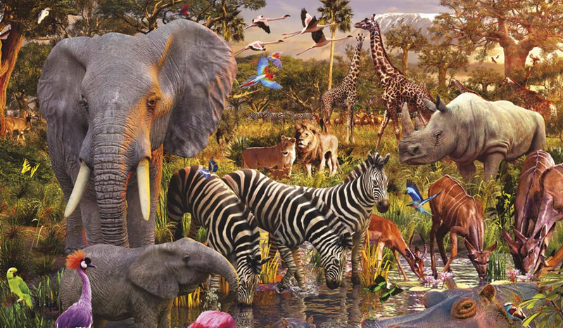 Jaki zwierzak w Tobie drzemie?