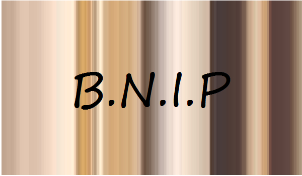 B.N.I.P #4
