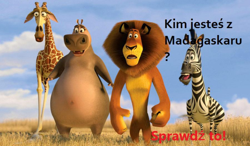 Kim jesteś z ,, Madagaskaru „?