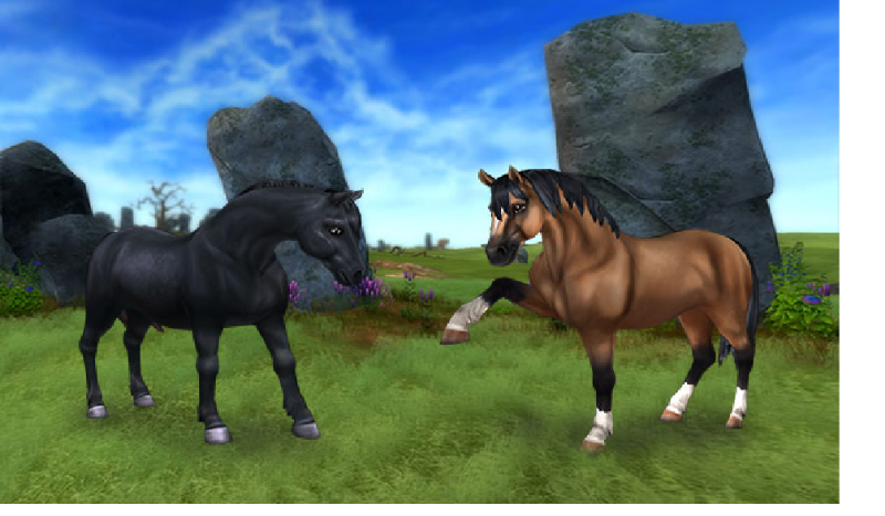 Jakie konie pasują do ciebie?