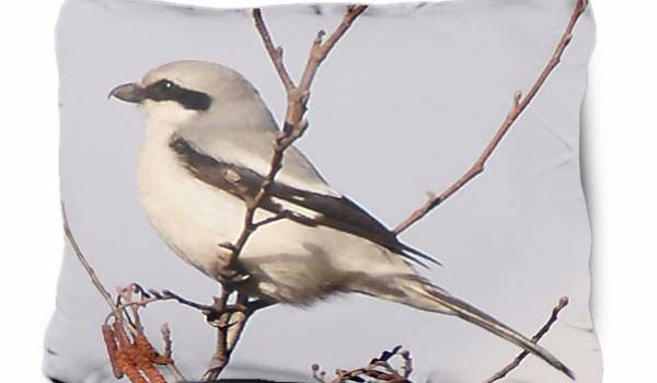 Jaka poduszka do ciebie pasuje ?