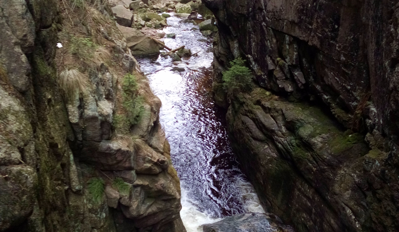 jaką dziewczyną z Harry,ego Potter,a jesteś?