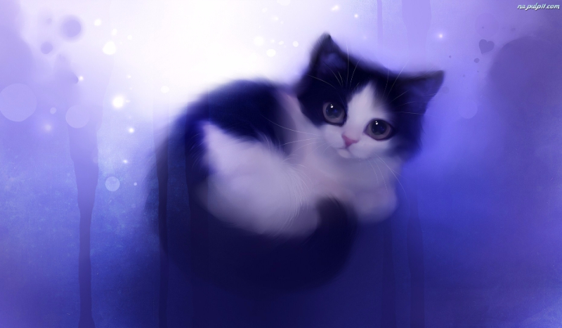 Jakie zwierzę żyje w twojej duszy?