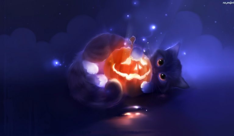 Jestem kotem i mieszkam z…#7