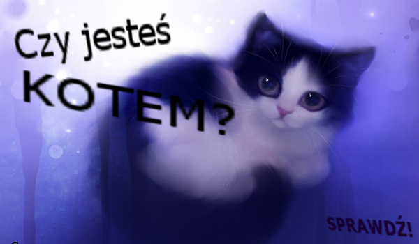 Czy jesteś kotem?
