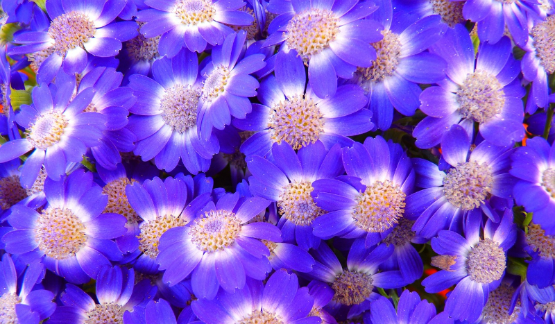 Czy jesteś niezwykła?