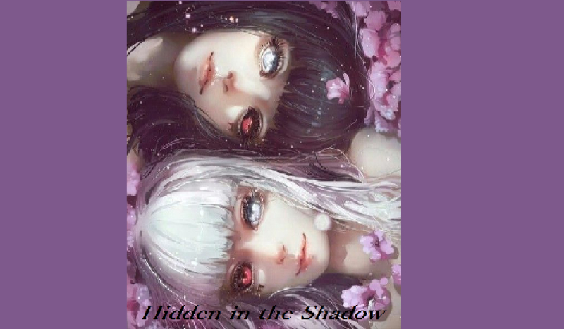 Hidden in the Shadow – kontynuacja #4