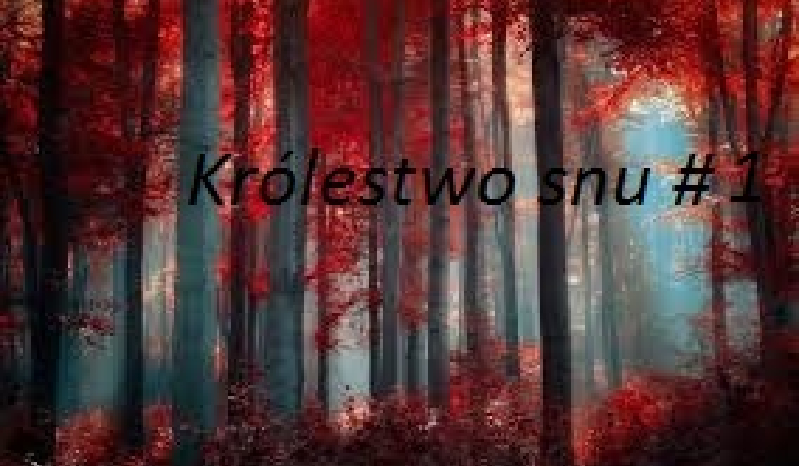 Królestwo snu #1