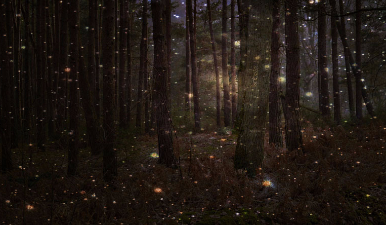 Świat pełen tajemnic. #4