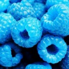 Patrycja_Dziekanowska