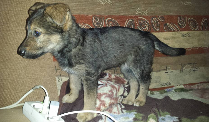 Ile bedziesz miał przyjaciół