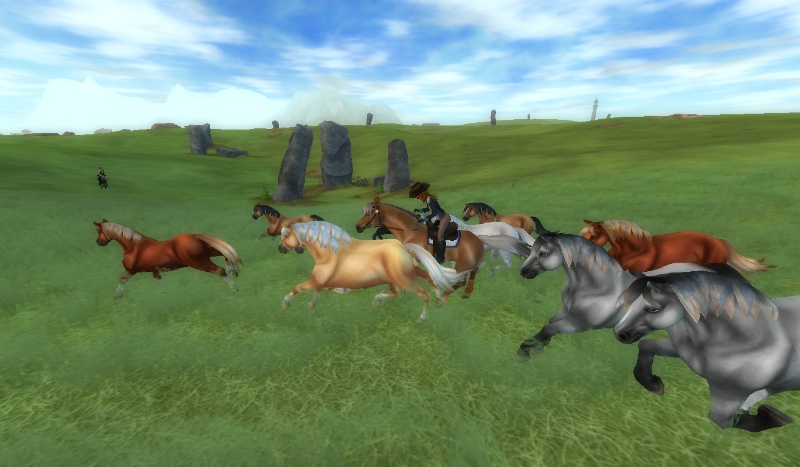 jesteś dzikim koniem czy domowym koniem?