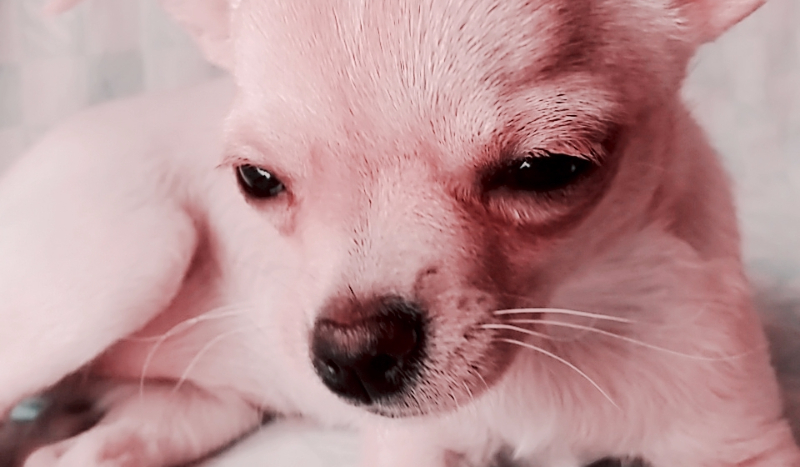 Jakim jesteś ojcem?