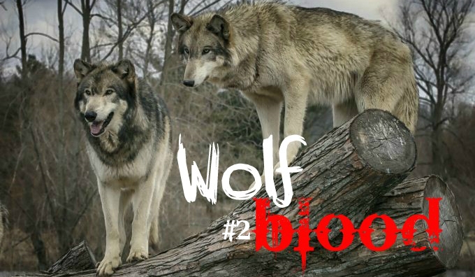 Wolf blood #2