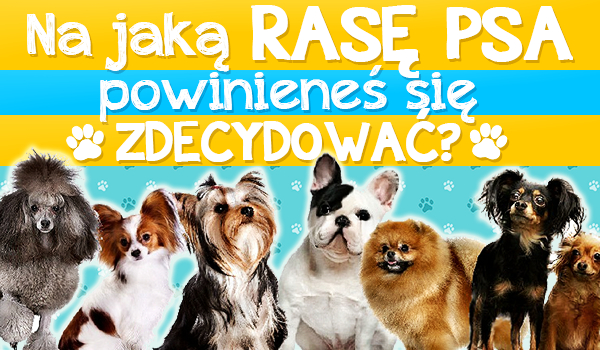 Na jaką rasę psa powinieneś się zdecydować?