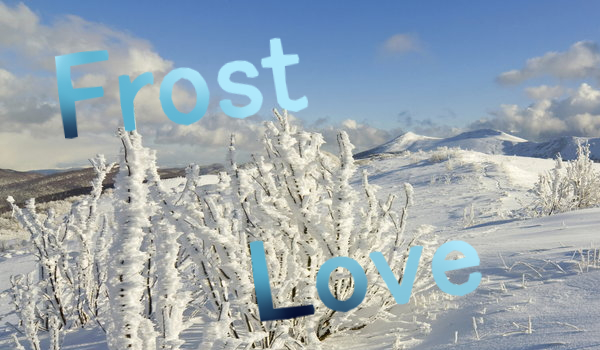 Frost Love #2