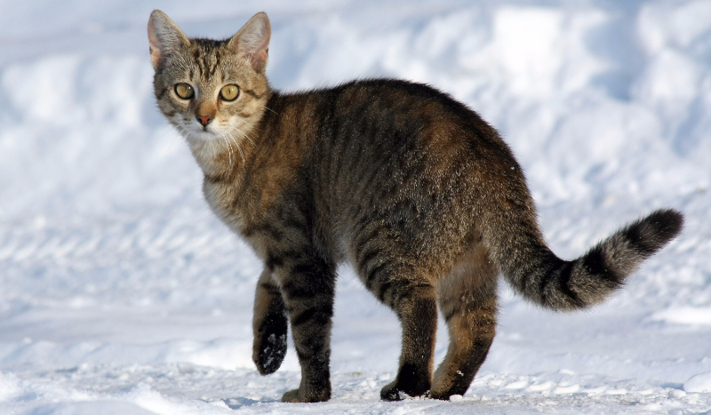 Idź! #10: Kilka lat później