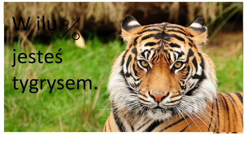 W ilu procentach jesteś tygrysem?