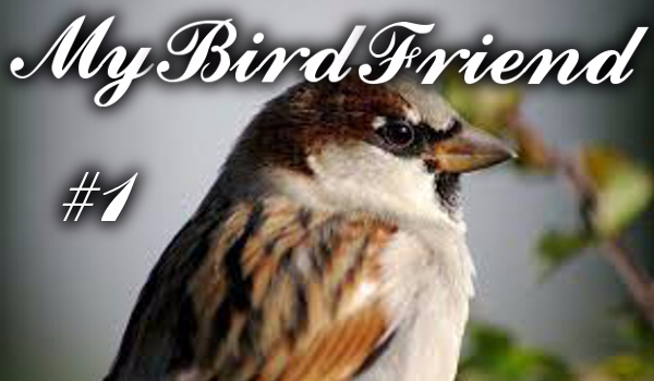 My Bird Friend  #1