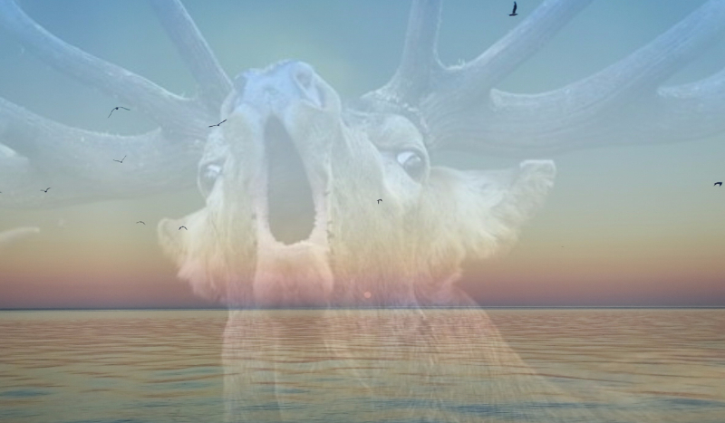 Wakacyjna przygoda autorki-czyli walnięty specjał