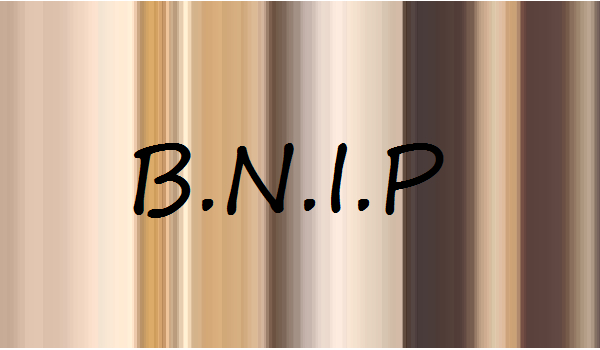 B.N.I.P #6