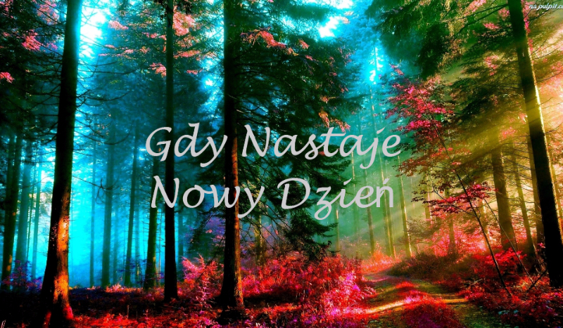 Gdy nastaje nowy dzień… #5