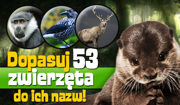 Dopasuj 53 zwierzęta do ich nazw!