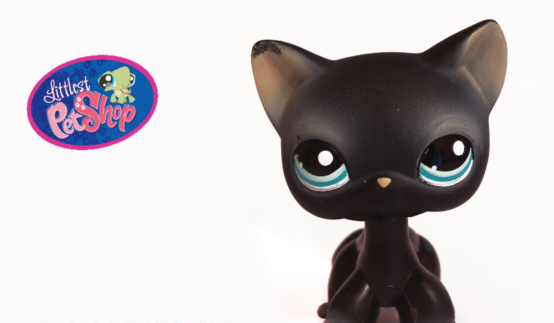 jakim lpesem jesteś