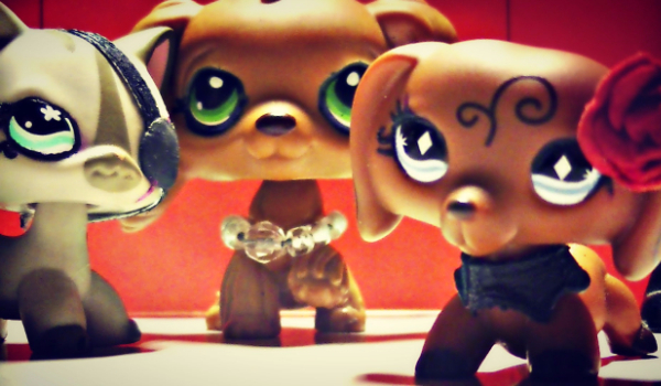 Jak dobrze znasz Xerdę?