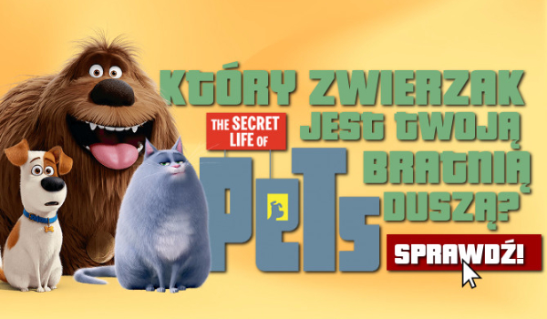 Który zwierzak z „The Secret Life Of Pets” jest Twoją bratnią duszą?