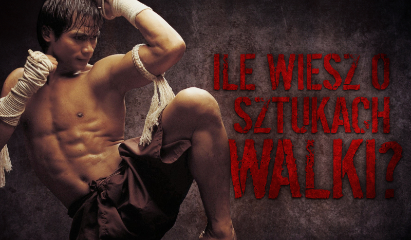 Ile wiesz o sztukach walki?