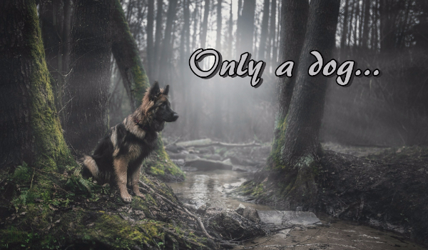 only a dog … # 4