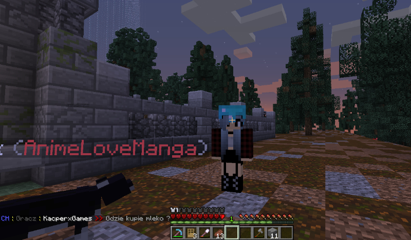 Moja ekipa w Minecraft