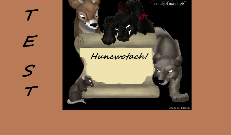 Test wiedzy o Huncwotach!(część 1)