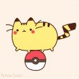 pusheenpikachu