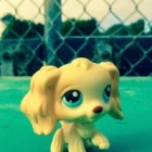 tylko.rozwiazuje.Quizy