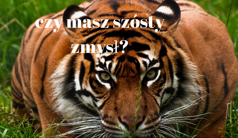 czy masz szósty zmysł?