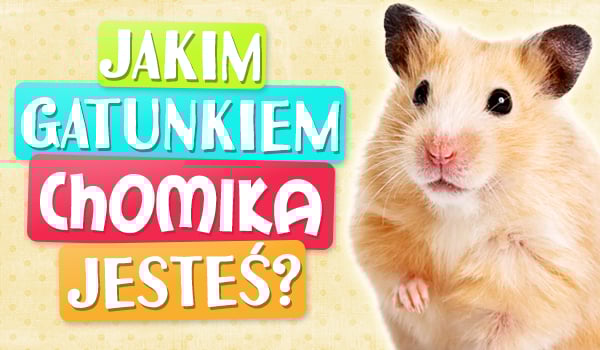 Jakim gatunkiem chomika jesteś?