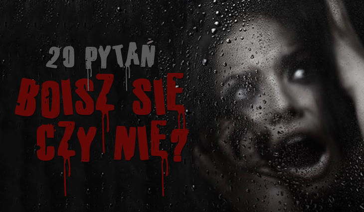 Boisz się czy nie? Odpowiedz na 20 pytań! #2