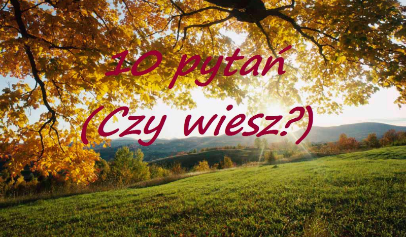 10 pytań (Czy wiesz?)